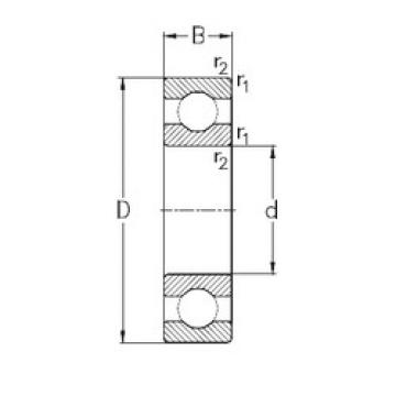 Bantalan 6038-M NKE