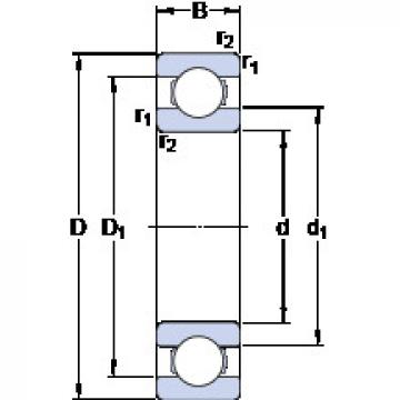 Bantalan 60/850 MB SKF