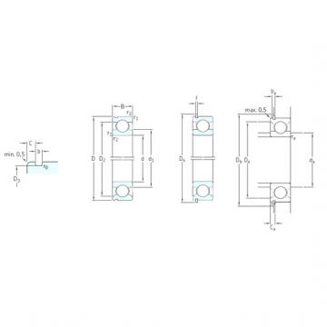 Bantalan 6017N SKF