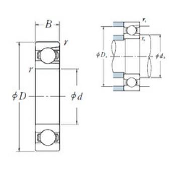 Bantalan BL 305 NSK