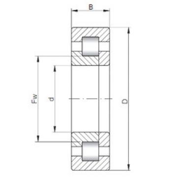 Bantalan NUP1012 CX