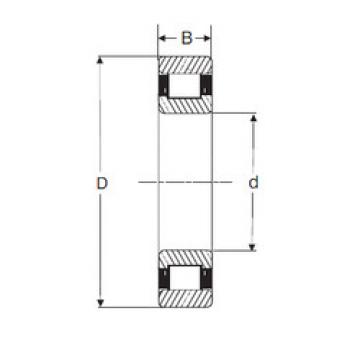 Bantalan RXLS 2.1/4 SIGMA