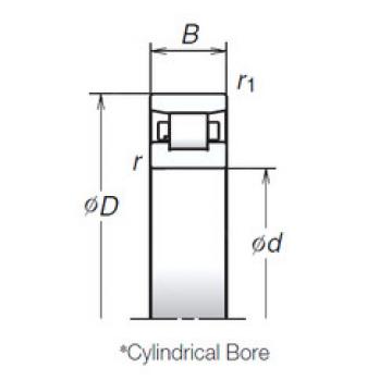 Bantalan N1016BMR1 NSK