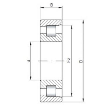 Bantalan NF206 ISO