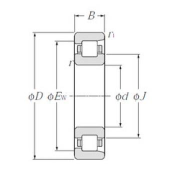 Bantalan NF308 CYSD