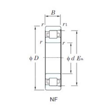 Bantalan NF310 KOYO