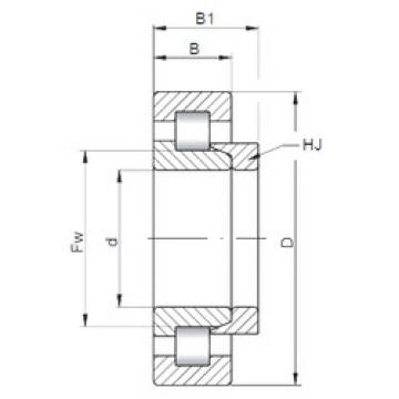 Bantalan NH209 E CX