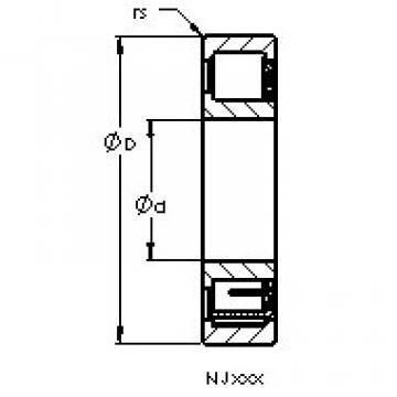 Bantalan NJ2306 E AST