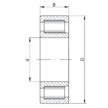 Bantalan NJF2322 V ISO