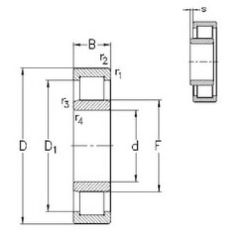 Bantalan NU221-E-M6 NKE