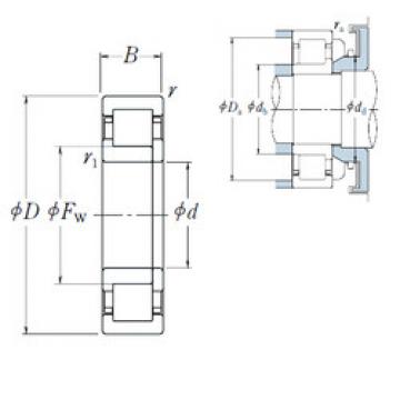 Bantalan NUP1028 NSK