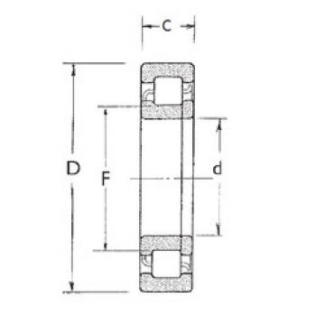 Bantalan NUP209 FBJ