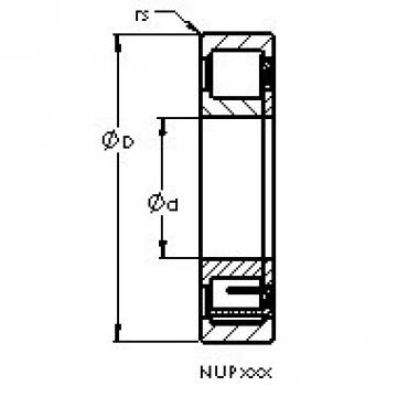 Bantalan NUP2203 E AST