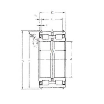 Bantalan SL04-5010NR FBJ