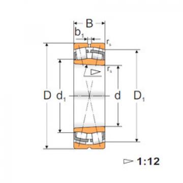 Bantalan 22312 KW33 MPZ