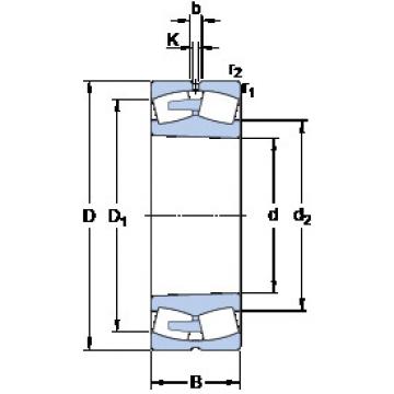 Bantalan 22380 CAK/W33 SKF