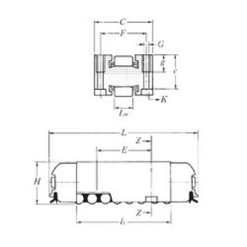 Bantalan RLM19×69 NTN