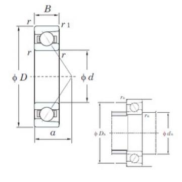 Bantalan 7010B KOYO