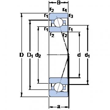 Bantalan 7005 ACE/P4A SKF