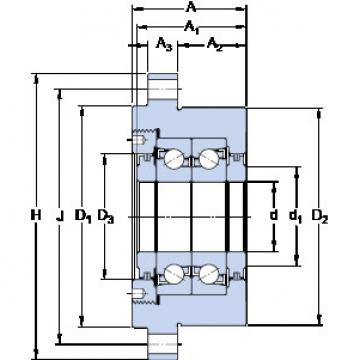 Bantalan FBSA 206/DB SKF