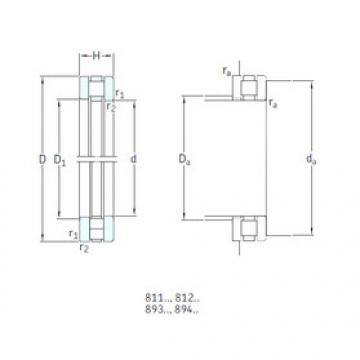 Bantalan 81106TN SKF