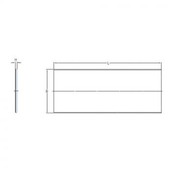 Bantalan PCMS 2005001.0 E SKF