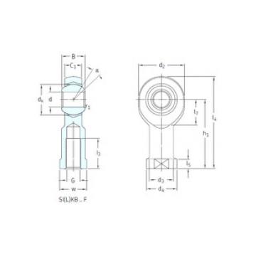 Bantalan SILKB6F SKF