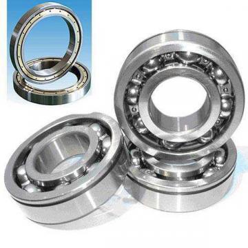 16021, Poland Single Row Radial Ball Bearing - Open Type