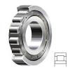 NSK M30-6 Ball Bearings