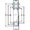 Bantalan 7006 ACD/HCP4A SKF