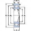 Bantalan 7003 CE/P4A SKF #1 small image