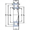 Bantalan 71924 ACE/HCP4A SKF #1 small image