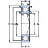 Bantalan S71919 ACE/P4A SKF #1 small image