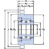 Bantalan FBSA 206/DB SKF