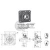 35 mm Square Flange Units Cast Iron UCF207 Mounted Bearing UC207+F207 New QTY:1 #2 small image