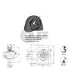 55 mm Take Up Units Cast Iron HCT211-34 Mounted Bearing HC211-34+T211 New QTY:1 #2 small image