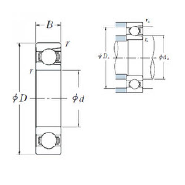 Bantalan BL 305 NSK #1 image