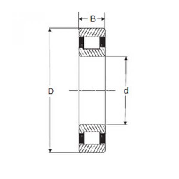 Bantalan RXLS 2.1/4 SIGMA #1 image