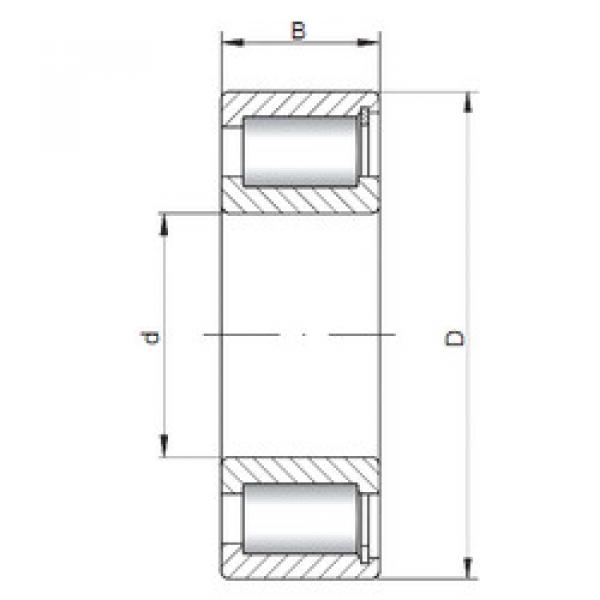 Bantalan NCF1856 V CX #1 image