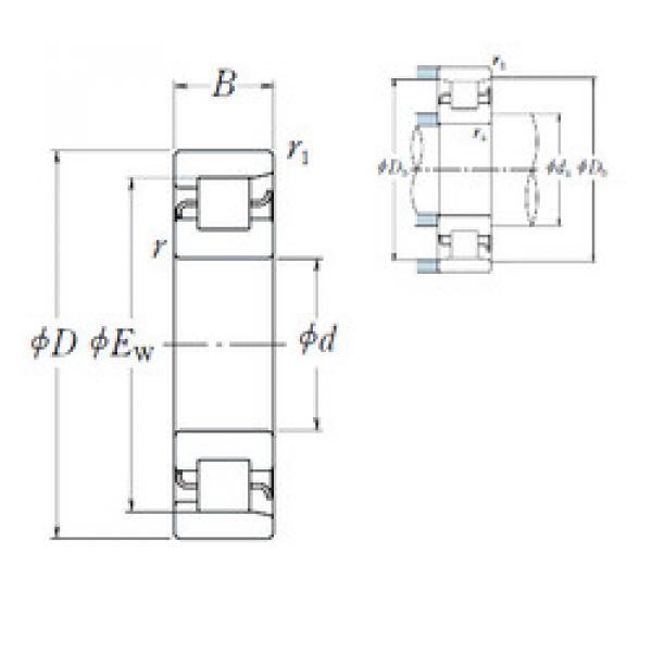 Bantalan NF 304 NSK #1 image