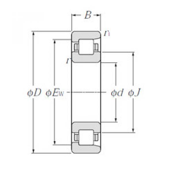 Bantalan NF328 NTN #1 image