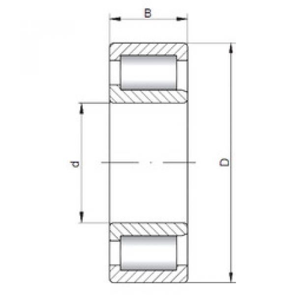 Bantalan NJF2322 V ISO #1 image