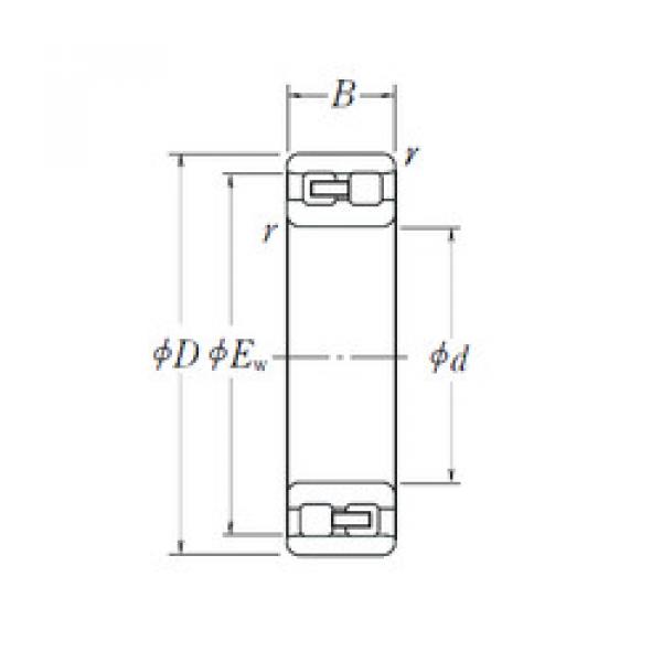 Bantalan NN 3005 NSK #1 image