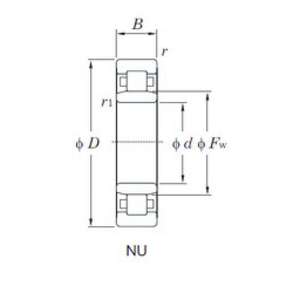 Bantalan NU205R KOYO #1 image