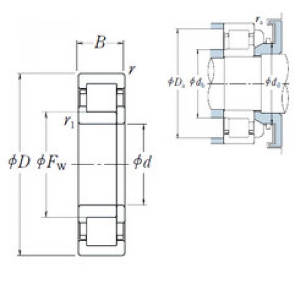 Bantalan NUP1028 NSK #1 image