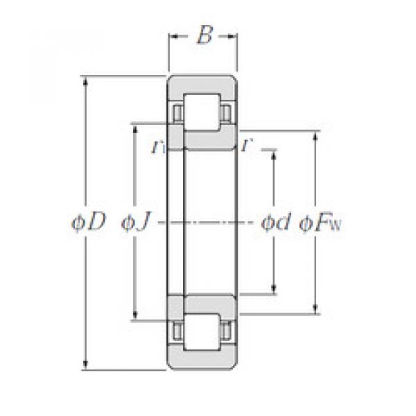 Bantalan NUP2211E NTN #1 image